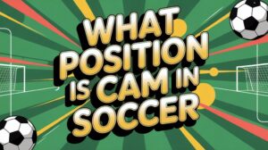 central attacking midfielder role