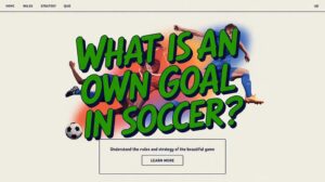 unintentional goal by player